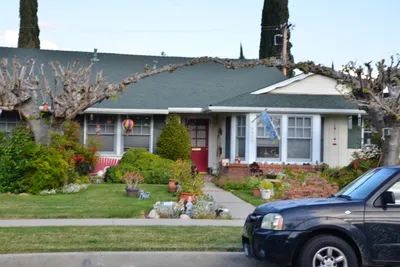 DSC_7218 (Large).JPG